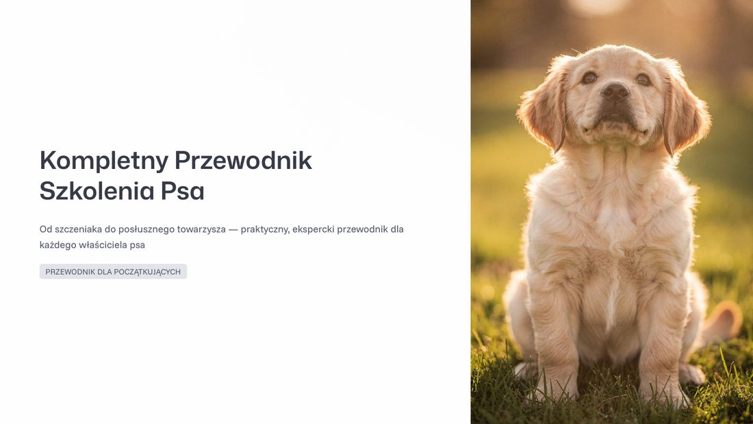 Złóż zamówienie