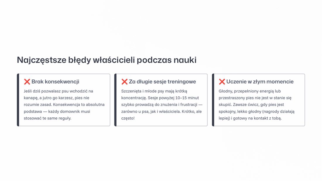 Strona o najczęstszych błędach właścicieli